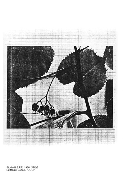 Stile - Paragrafo 7 - Willem Brouwer - 14